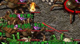 新开传奇发布网
