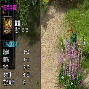 掌握新开服装备，打造最强防御