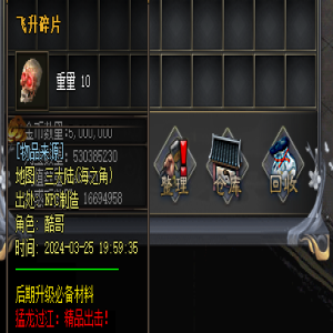 飞升碎片在新开传奇私服中的妙用解析