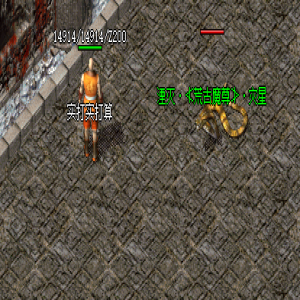 探秘传奇新开私服中隐藏宝藏和惊喜的奇妙世界