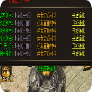 <strong>进阶玩家不说的小秘密：技能等级硬扛神装</strong>